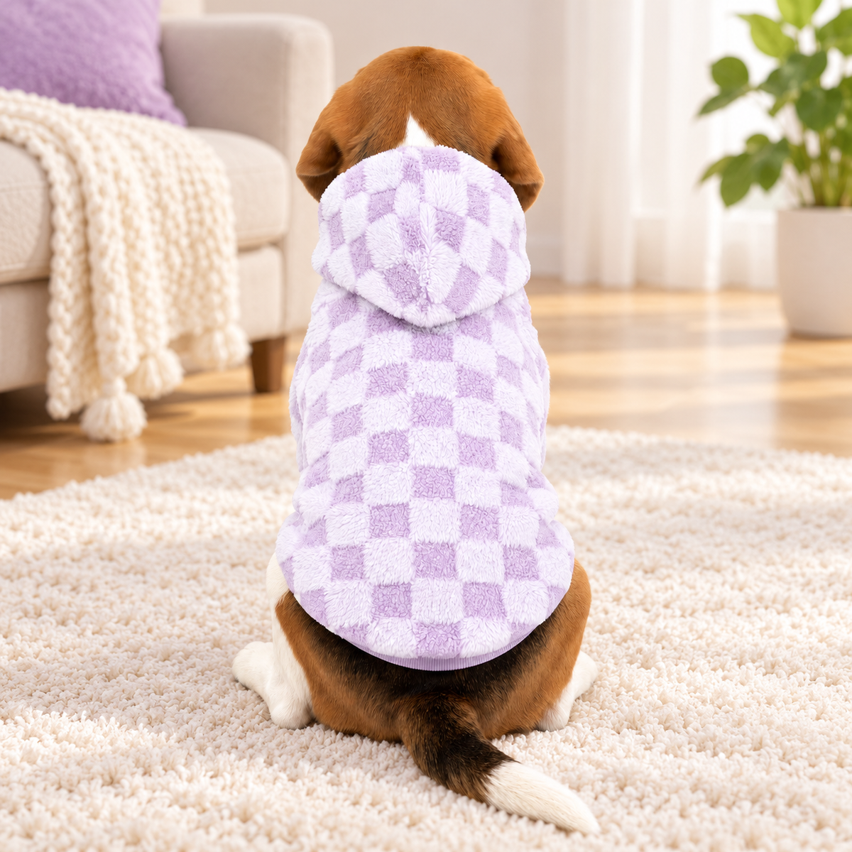 Purple Checkerboard Sherpa Dog Hoodie