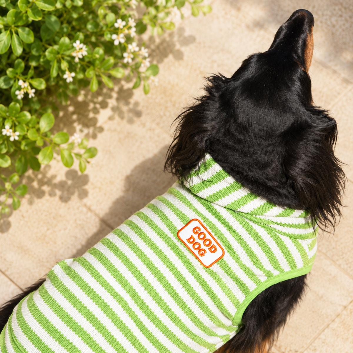 Green Striped Good Dog Hoodie