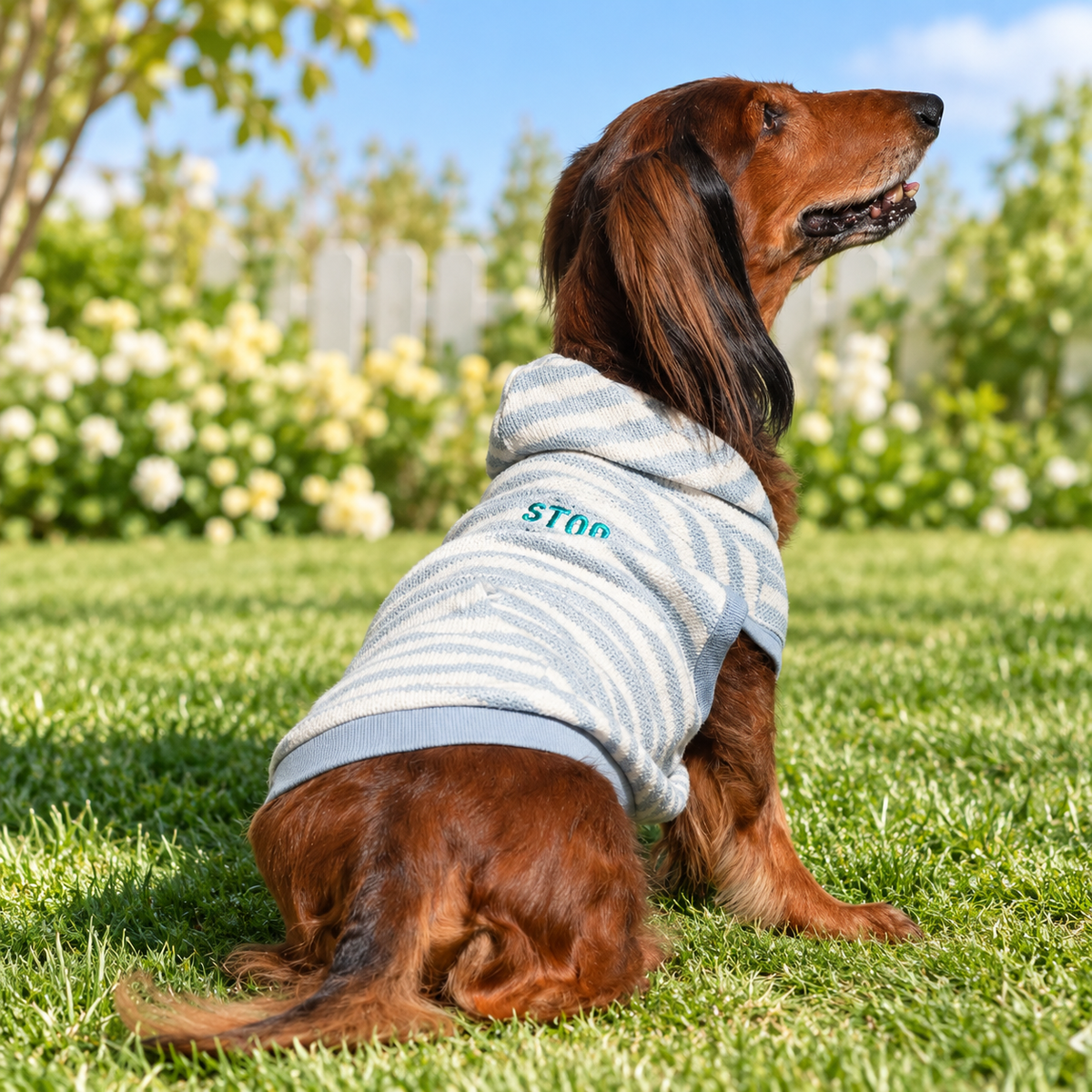 Green Striped Good Dog Hoodie