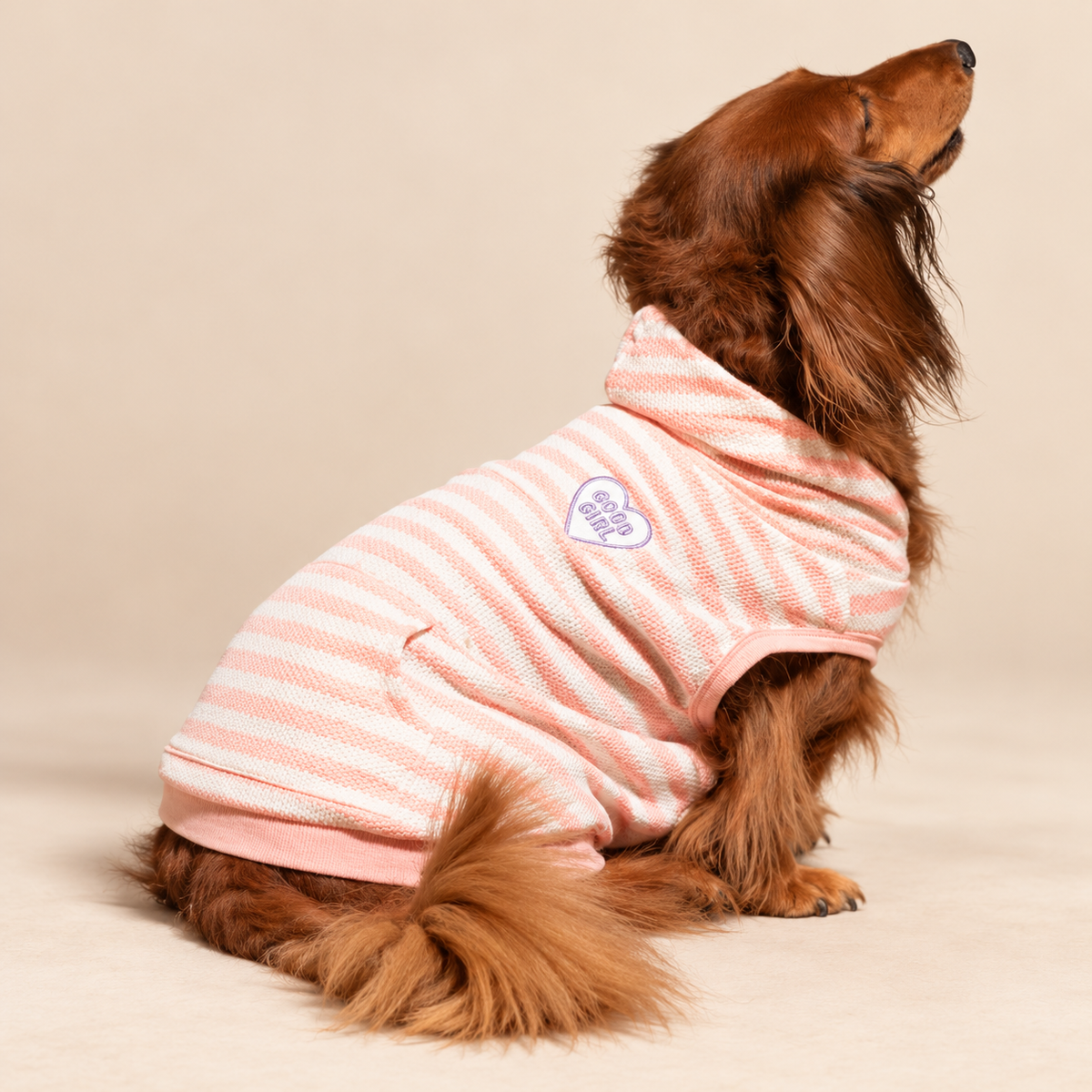 Green Striped Good Dog Hoodie